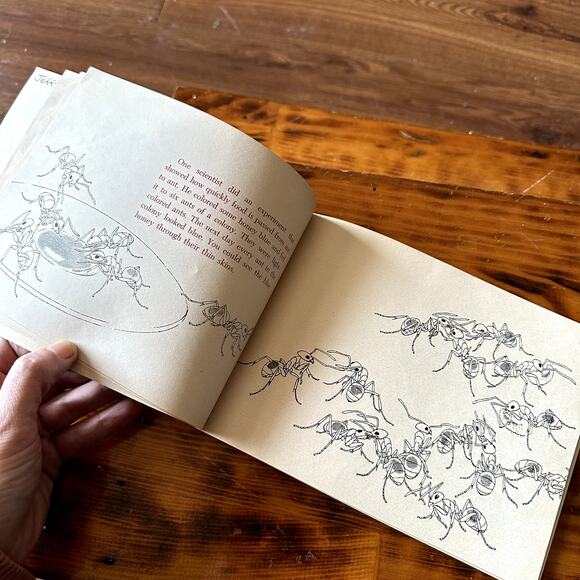 Vintage 1967 Questions And Answers About Ants Paperback Book - Picture 4 of 9